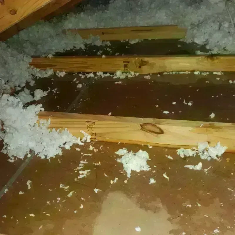 Attic Water Damage in Arlington, WA