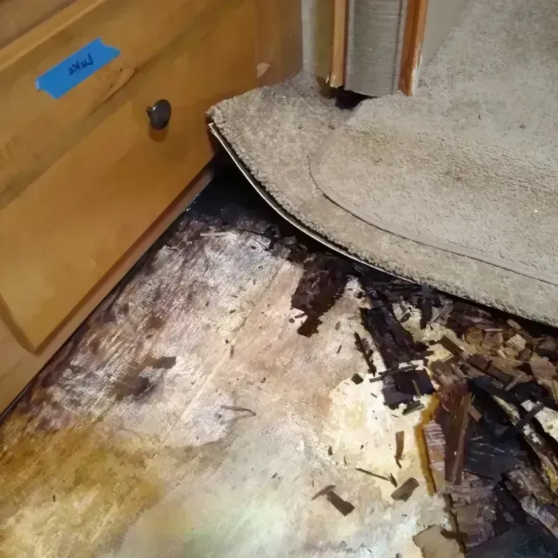 Wood Floor Water Damage in Arlington, WA